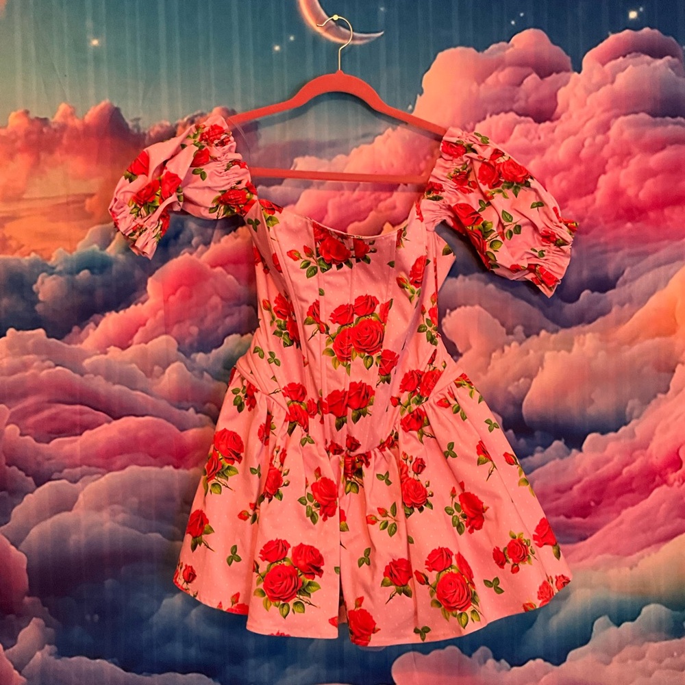 Sugar Thrillz Pink Dress with Red Roses
